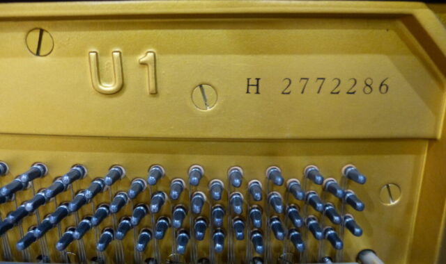 P1110370